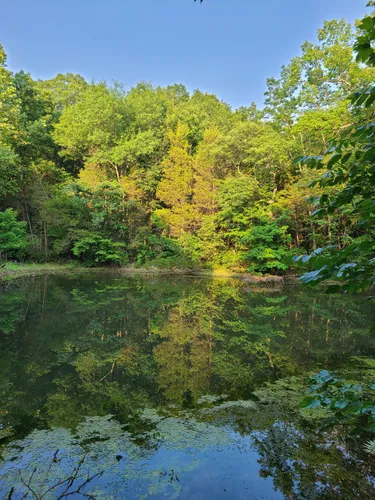 Best Waterfall Trails in Louisville - EyJidWNrZXQiOiJhc3NldHMuYWxsdHJhaWxzLmNvbSIsImtleSI6InVwbG9hZHMvcGhvdG8vaW1hZ2UvNjk4NjczNDUvNmE1ZWVhZDU1ZjczZDhjMzhmNDQ5ZWMxY2RmZmY4ODcuanBnIiwiZWRpdHMiOnsidG9Gb3JtYXQiOiJ3ZWJwIiwicmVzaXplIjp7IndpZHRoIjo1MDAsImhlaWdodCI6NTAwLCJmaXQiOiJpbnNpZGUifSwicm90YXRlIjpudWxsLCJqcGVnIjp7InRyZWxsaXNRdWFudGlzYXRpb24iOnRydWUsIm92ZXJzaG9vdERlcmluZ2luZyI6dHJ1ZSwib3B0aW1pc2VTY2FucyI6dHJ1ZSwicXVhbnRpc2F0aW9uVGFibGUiOjN9fX0=