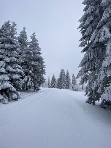 Schneewittchenloipe