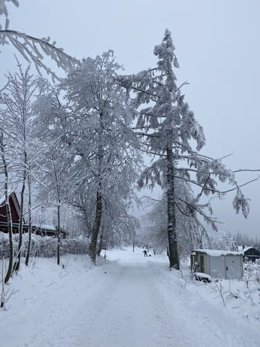 Schneewittchenloipe