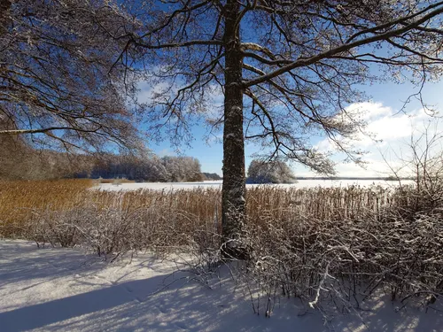 Best Hikes and Trails in Bokhultets naturreservat | AllTrails