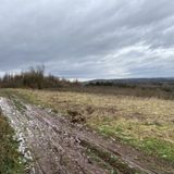 Old Pale Hill And Delamere Forest, Cheshire, England - 890 Reviews, Map ...