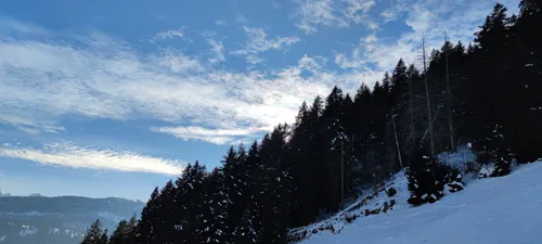 Best Skiing Trails in St. Gallen