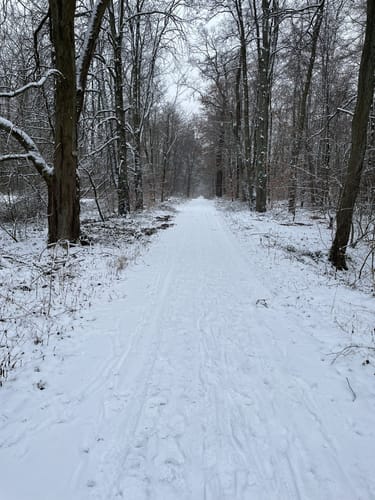 Rundwanderweg Darmstadt Am Forschungszentrum 9: Dianaburg-Weg