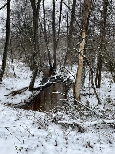 Rundwanderweg Darmstadt Am Forschungszentrum 9: Dianaburg-Weg
