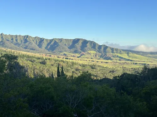 Best Hikes And Trails In Schofield Barracks Alltrails 