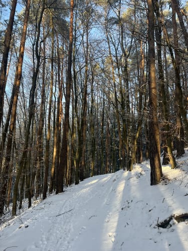 Entlang des Eselsbaches und zum Schallbrunner Tal
