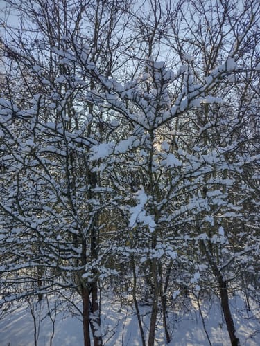 Rund um den Wallendorfer See