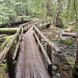 Tamolitch Blue Pool via McKenzie River Trail, Oregon - 4,618 Reviews ...