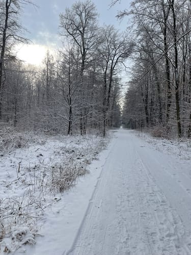 Hegbachaue und Ernst-Ludwig-Teich