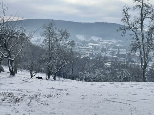 Amorbacher Sandstein-Weg