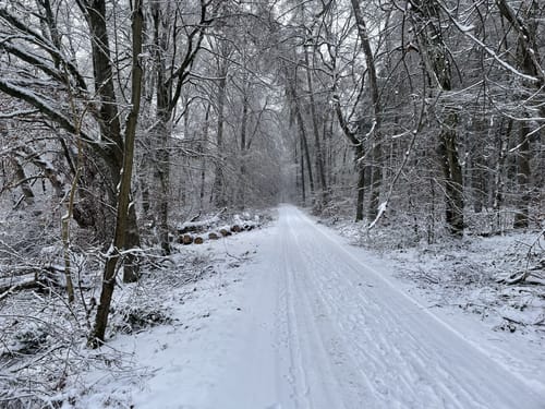 Große Tempeltour (Tour 23)