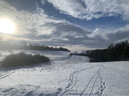 Rund um Mönchsberg und Vogelberg
