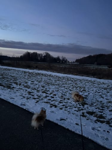 Schwendi Flussweg