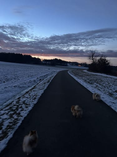 Schwendi Flussweg
