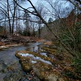 Hot Springs Mountain Trail, Arkansas - 981 Reviews, Map | AllTrails