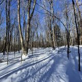 Lye Brook Falls Trail, Vermont - 2,806 Reviews, Map | AllTrails