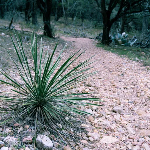 Best Hikes and Trails in Muleshoe Bend Recreation Area AllTrails