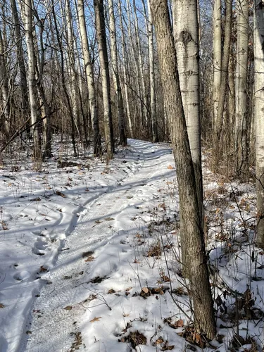 Salem hills mountain bike trail new arrivals