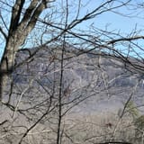 Butter Gap to Cat Gap Trail, North Carolina - 508 Reviews, Map | AllTrails