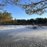 Cato's Ridge, Massachusetts - 476 Reviews, Map | AllTrails