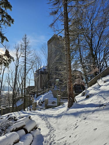 Eifelsteig Etappe 8: Mirbach - Hillesheim