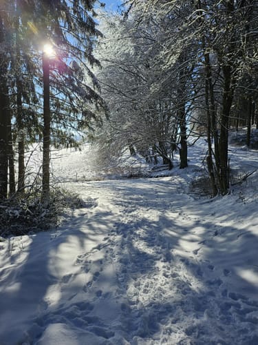 Eifelsteig Etappe 8: Mirbach - Hillesheim