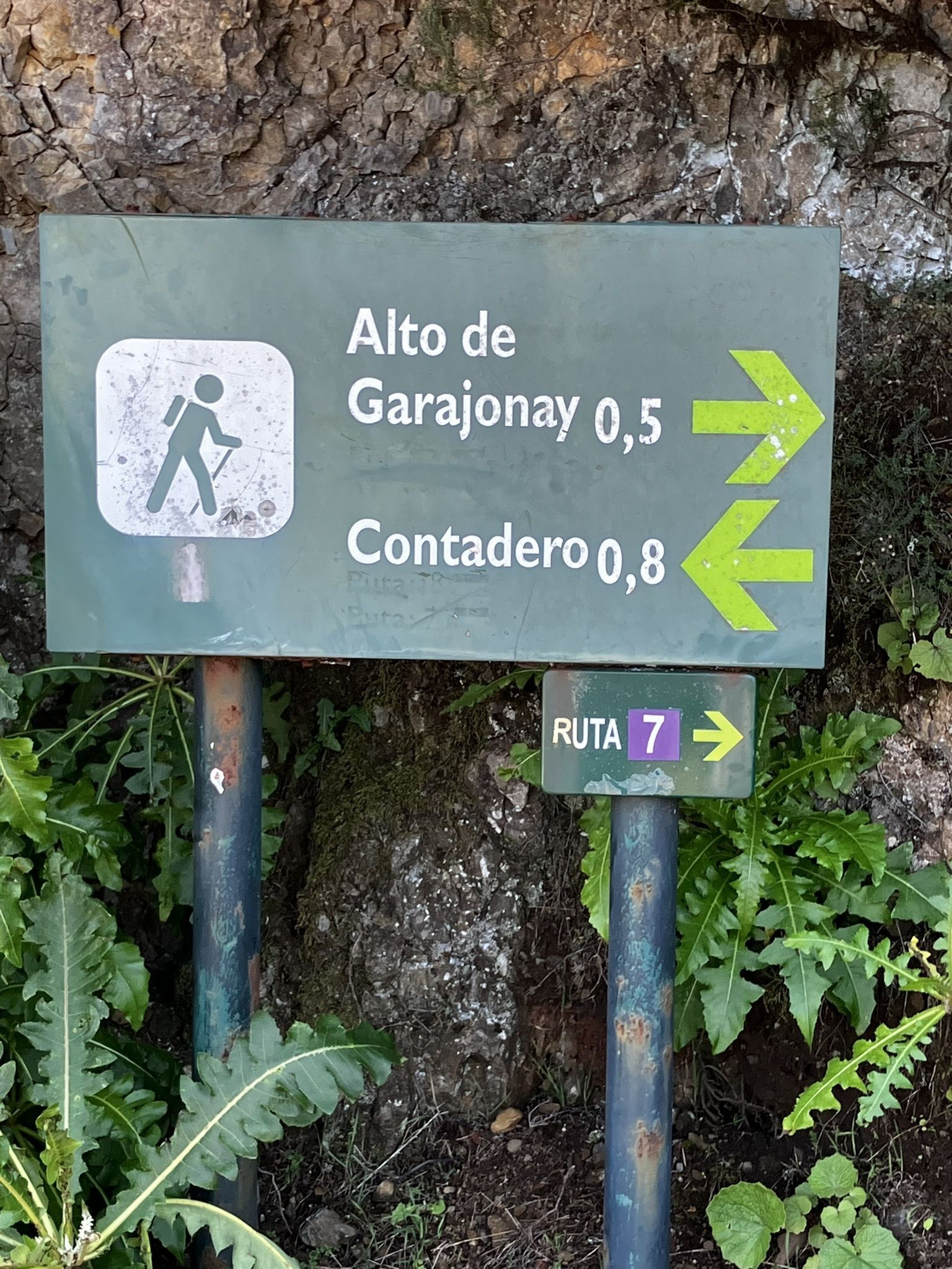 Photos of Chipude - La Fortaleza - Igualero - Alto de Garajonay - La  Gomera, Spain | AllTrails