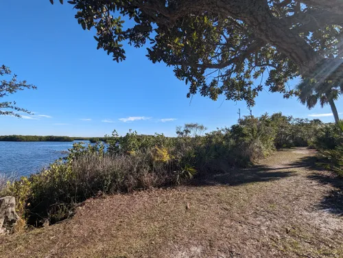 parques naturales en tampa fl