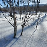 Mount Haggin Trail, Montana - 44 Reviews, Map | AllTrails