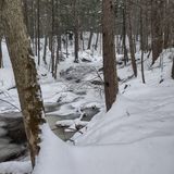 Spectacle Pond Trail, New York - 308 Reviews, Map | AllTrails