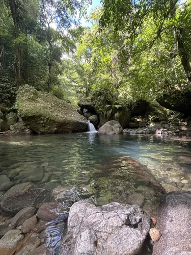 Best Short Trails In Parc Naturel R Gional De La Martinique Alltrails