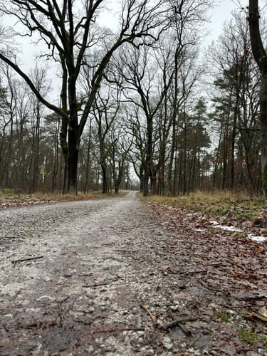 Auf Försterswegen durch den Grunewald