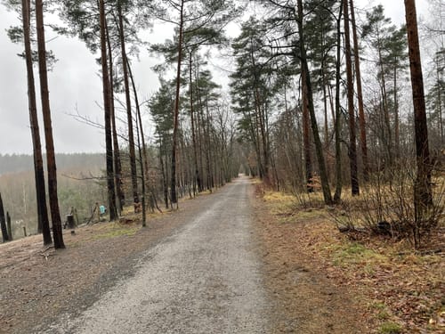 Auf Försterswegen durch den Grunewald