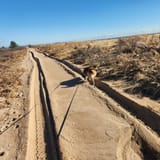 Quonochontaug Pond and Beach Sand Trail, Rhode Island 94 Reviews, Map