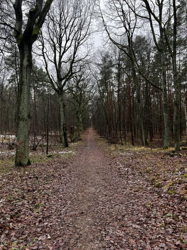 Auf Försterswegen durch den Grunewald