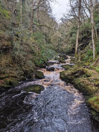 Best Hikes and Trails in Ness Country Park | AllTrails