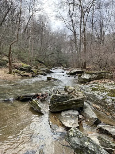 Best Hikes and Trails in Morgan Run Environmental Area | AllTrails