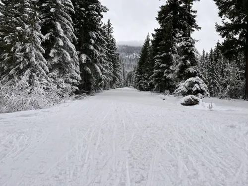 Best Hikes and Trails in Crystal Springs Sno-Park | AllTrails