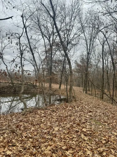 Melhores trilhos e caminhadas em Long Branch State Park