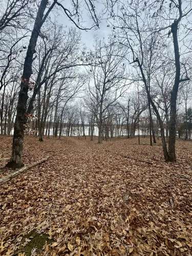 Long Branch State Park Missouri 