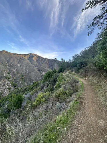 Best Hikes and Trails in Pfeiffer Big Sur State Park | AllTrails