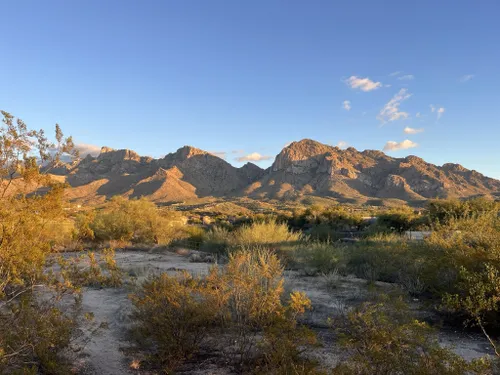 10 Best Road Biking Trails in Tucson | AllTrails