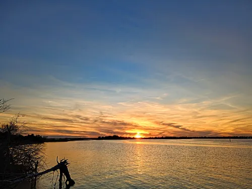 Best Hikes and Trails in Rachel Carson Estuarine Sanctuary | AllTrails