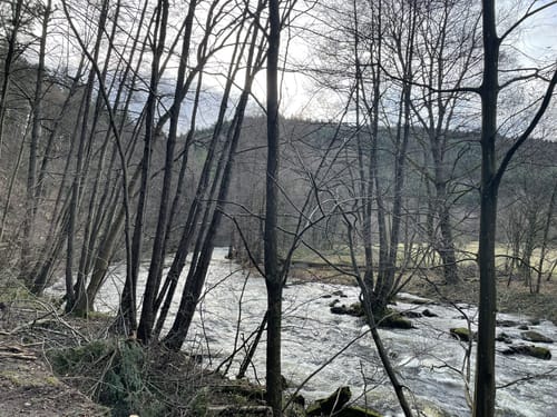 Wasserleitungsweg bei Birkenfeld