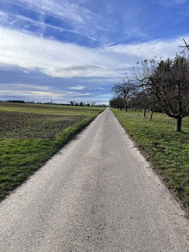 Rundweg um Sickenhausen: Om Sickahausa rondrom