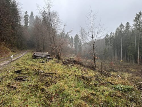 Naturlehrpfad Ommersheim