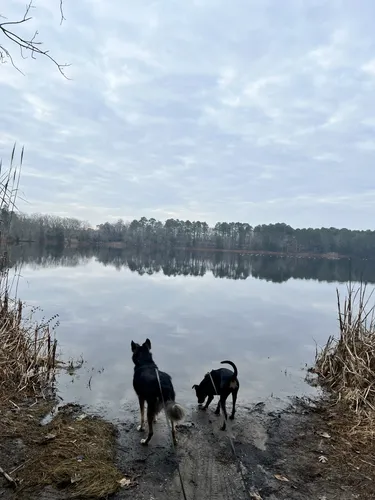 Best Lake Trails in Galloway Township