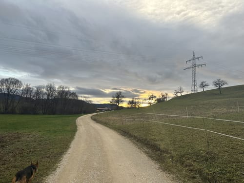Heininger Drei-Königs-Lauf 2020