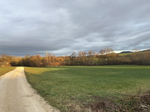 Heininger Drei-Königs-Lauf 2020