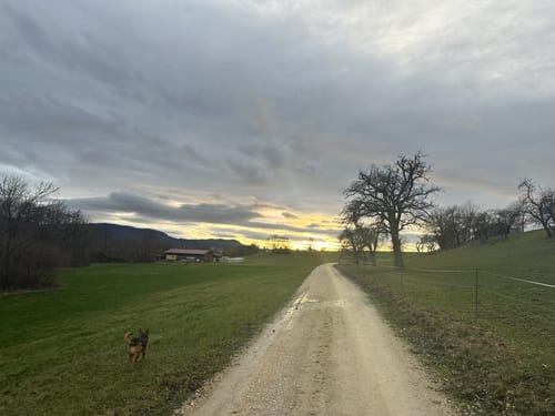 Heininger Drei-Königs-Lauf 2020